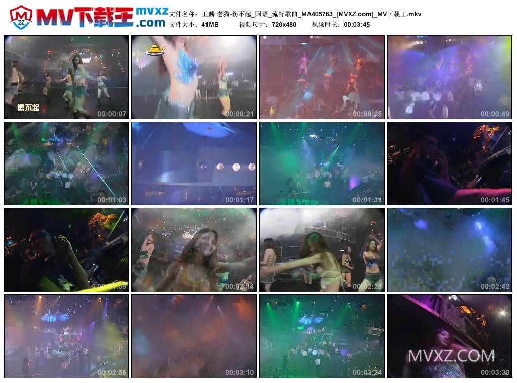 王麟 老猫-伤不起_国语_流行歌曲_MA405763